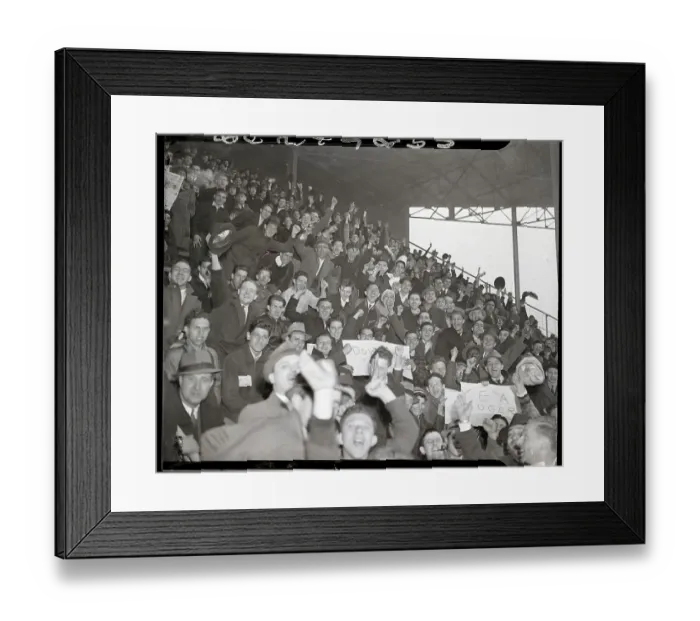 Framed Print : Dodgers Fans Cheering Framed Print : Dodgers Fans Cheering