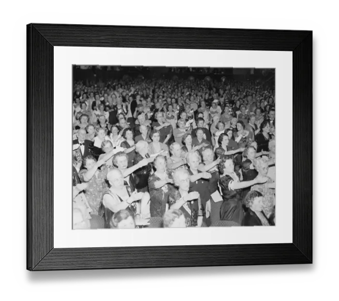 Framed Print : DAR Members Pledge Allegiance to Flag Framed Print : DAR Members Pledge Allegiance to Flag
