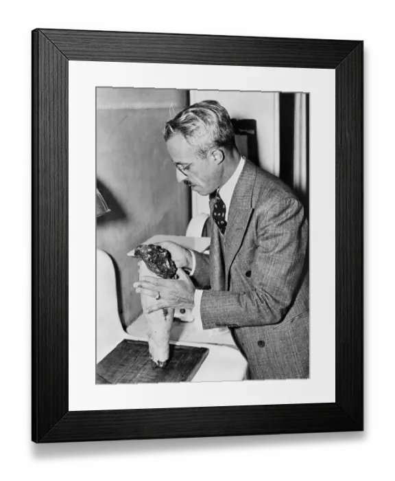 Framed Print : Coroner Examining a Dissected Leg