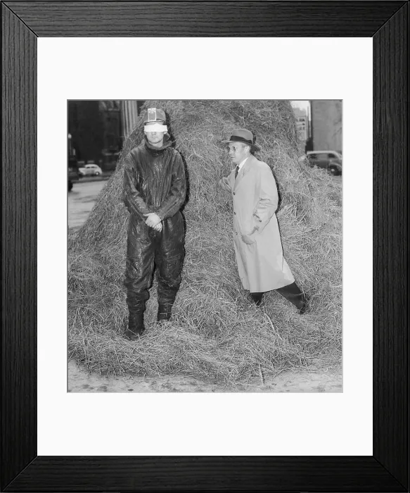 Framed Print : Finding a Needle in a Haystack Framed Print : Finding a Needle in a Haystack