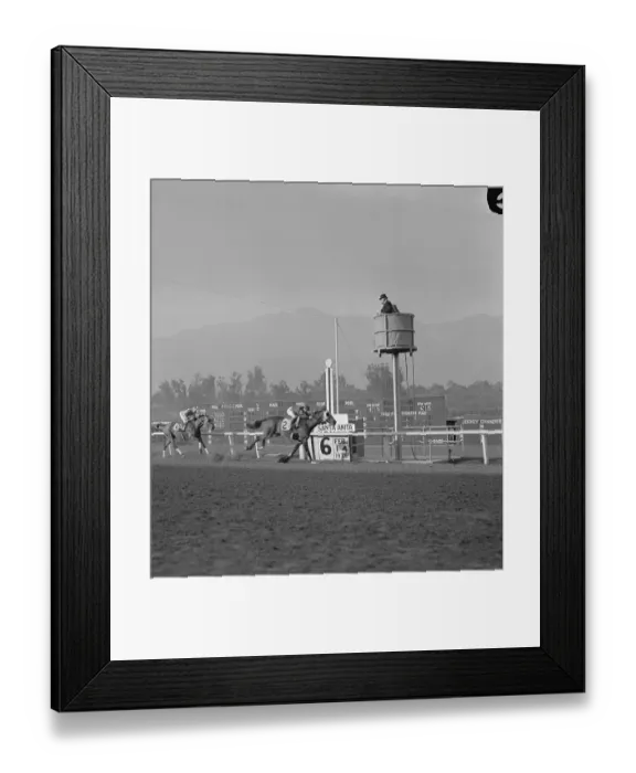 Framed Print : Racehorse Seabiscuit Finishing Second Framed Print : Racehorse Seabiscuit Finishing Second