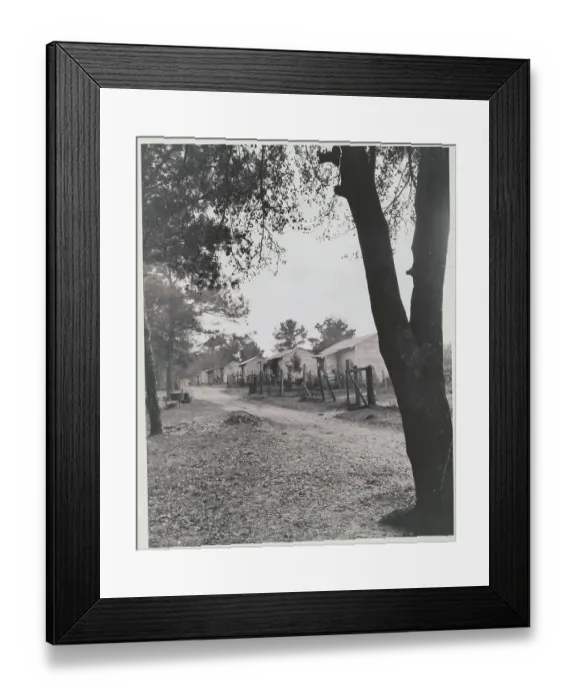Framed Print : Portrait of Small Houses