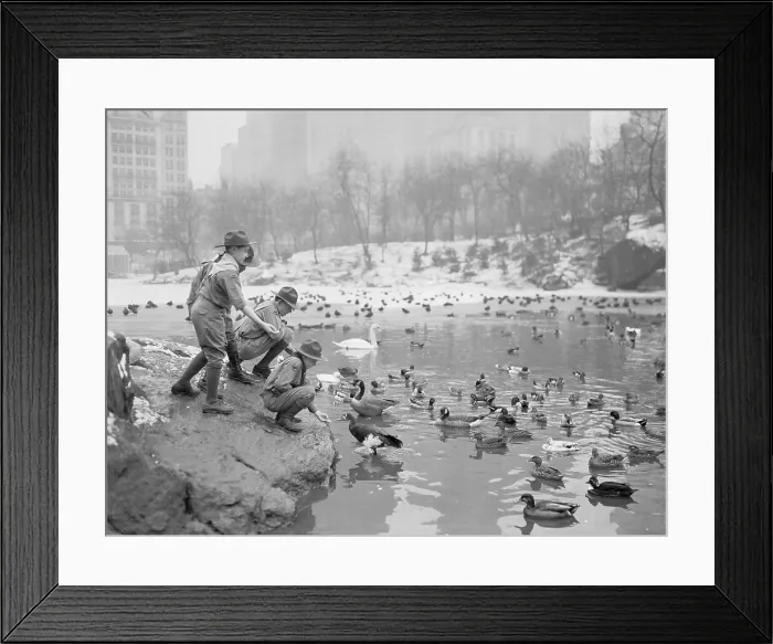 Framed Print : Boy Scouts Feeding Ducks Framed Print : Boy Scouts Feeding Ducks