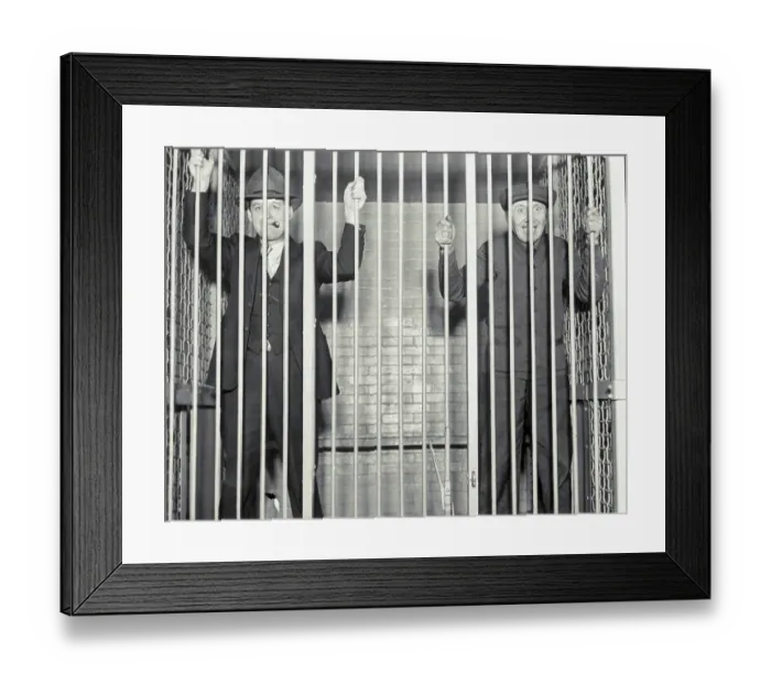 Framed Print : Guilty Drunken Drivers in Lion's Cage