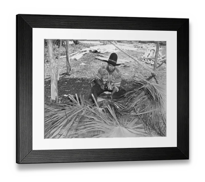 Framed Print : Seminole Indian Working With Palm Fronds Framed Print : Seminole Indian Working With Palm Fronds