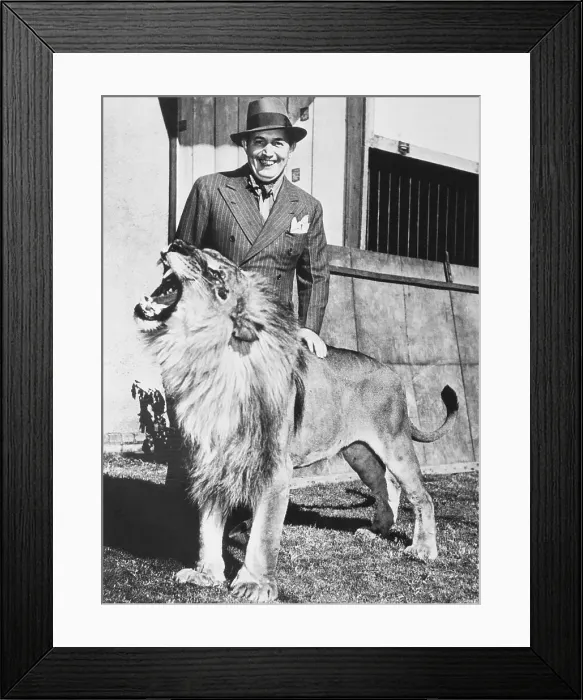 Framed Print : Robert Ripley Posing with Lion Framed Print : Robert Ripley Posing with Lion