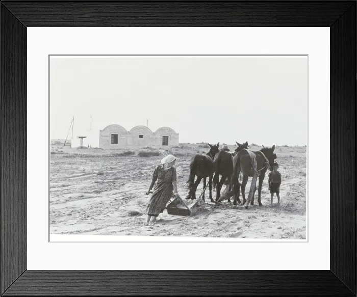 Framed Print : Italian Farm Family Framed Print : Italian Farm Family