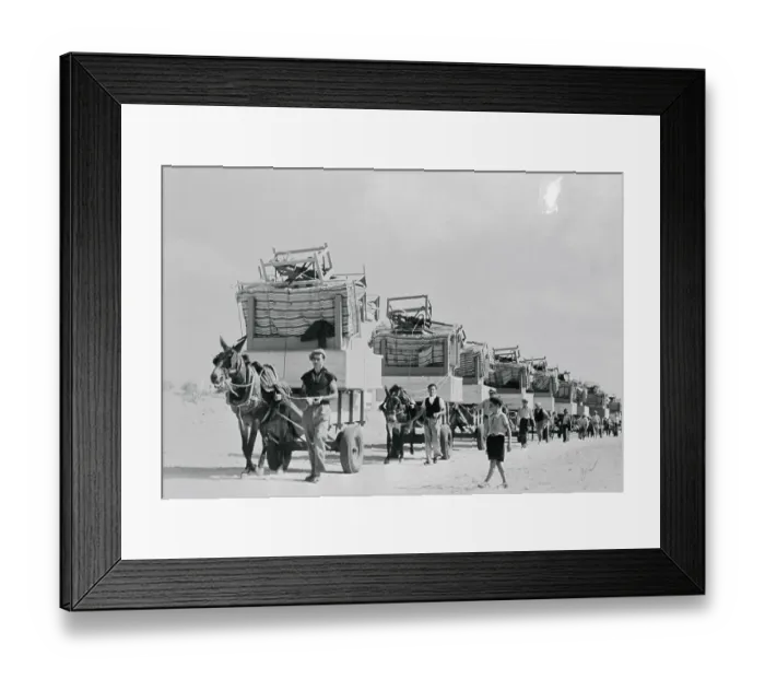 Framed Print : Caravan of Wagons with Furniture Framed Print : Caravan of Wagons with Furniture