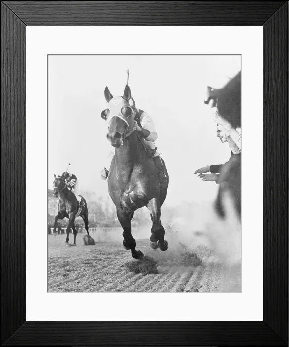 Framed Print : Seabiscuit Winning War Admiral Match Race Framed Print : Seabiscuit Winning War Admiral Match Race