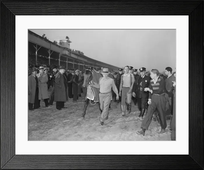 Framed Print : Seabiscuit After Winning War Admiral Match Race Framed Print : Seabiscuit After Winning War Admiral Match Race