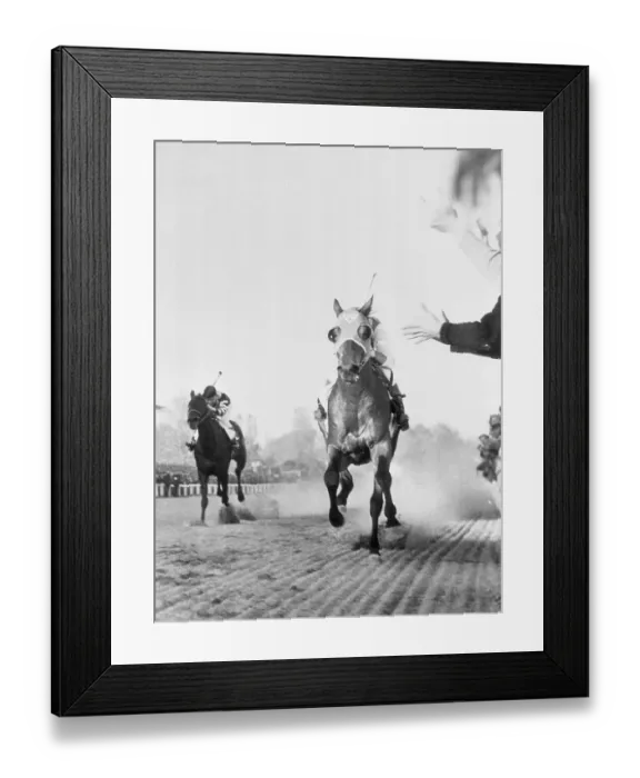 Framed Print : Seabiscuit and War Admiral Match Race Framed Print : Seabiscuit and War Admiral Match Race