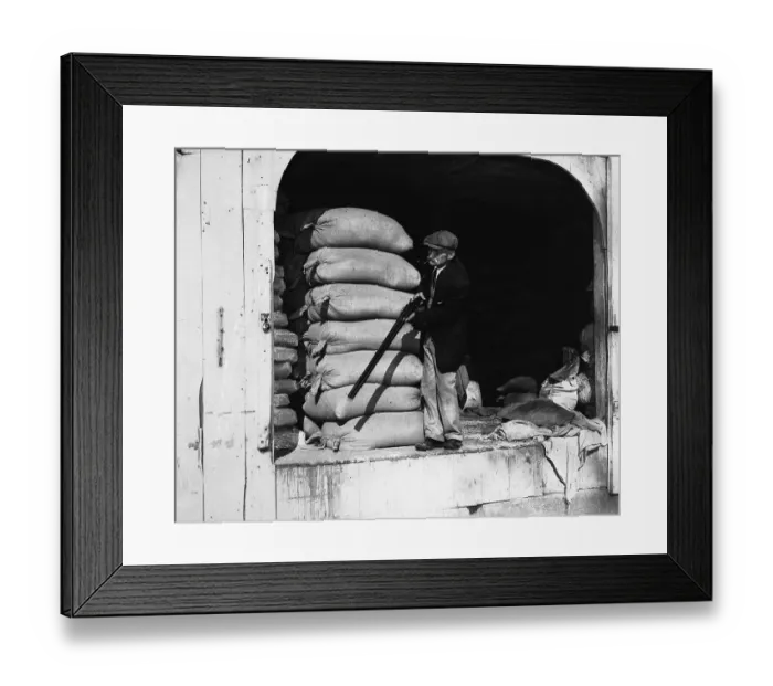 Framed Print : William Dock Stands with Shotgun Framed Print : William Dock Stands with Shotgun