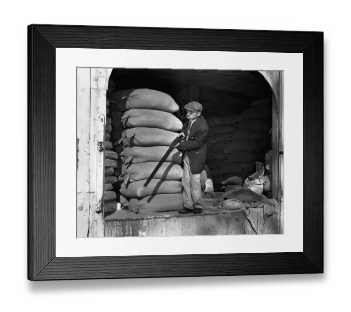 Framed Print : Watching for Martians Framed Print : Watching for Martians