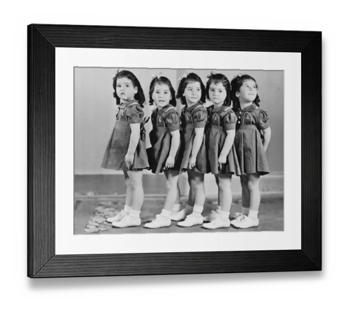 Framed Print : Five of a Kind Framed Print : Five of a Kind
