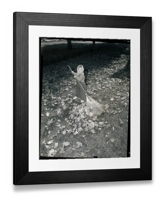 Framed Print : Little Girl Raking Leaves Framed Print : Little Girl Raking Leaves