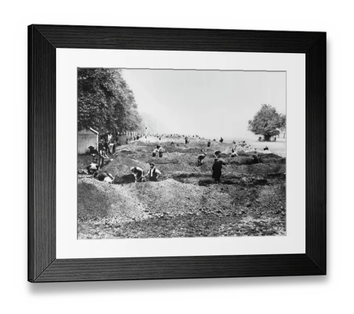 Framed Print : Digging Trenches Framed Print : Digging Trenches