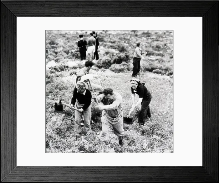 Framed Print : Farmers in Palestine Protected by Guards