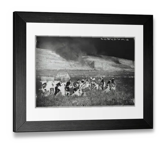 Framed Print : Settlers Putting Out Fire Framed Print : Settlers Putting Out Fire