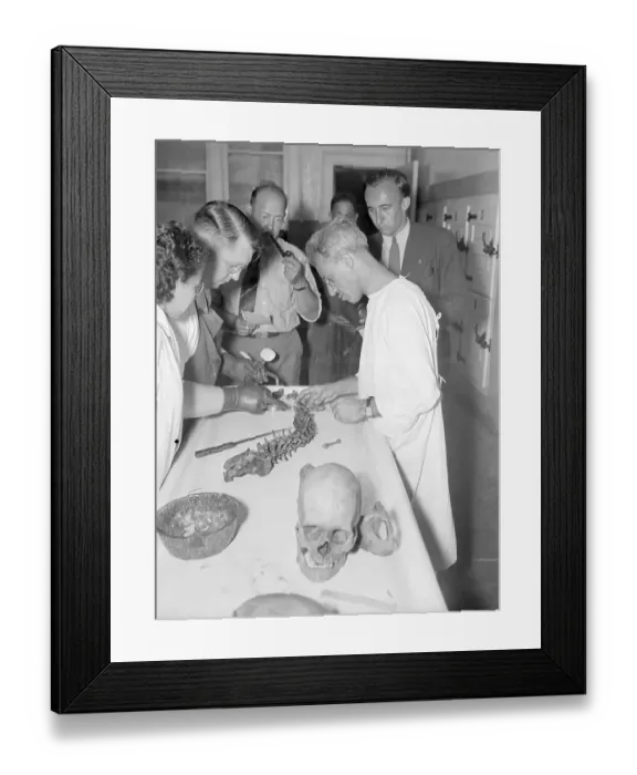 Framed Print : Coroner Examining Human Bones Framed Print : Coroner Examining Human Bones
