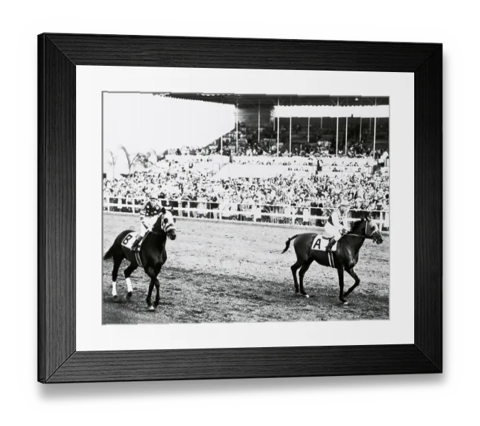 Framed Print : Seabiscuit and Ligaroti at Del Mar Framed Print : Seabiscuit and Ligaroti at Del Mar