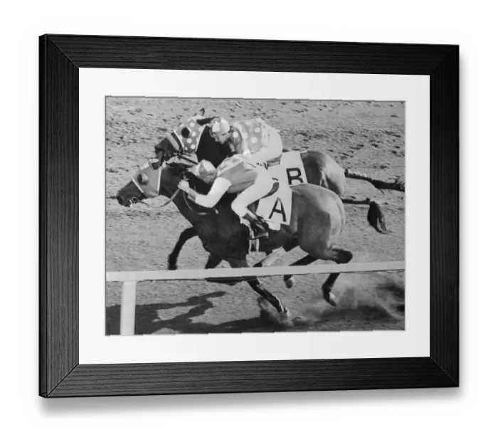 Framed Print : Seabiscuit and Ligaroti Racing at Del Mar Framed Print : Seabiscuit and Ligaroti Racing at Del Mar
