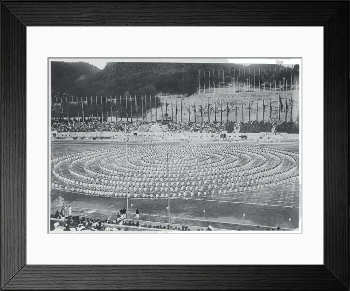 Framed Print : Stadium with Soldier Formations Framed Print : Stadium with Soldier Formations