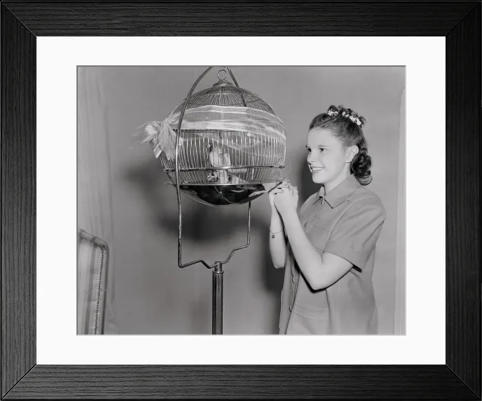 Framed Print : Judy Garland Examining Birds in Cage