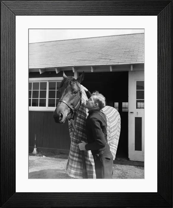 Framed Print : Red Pollard Kissing Seabiscuit Framed Print : Red Pollard Kissing Seabiscuit