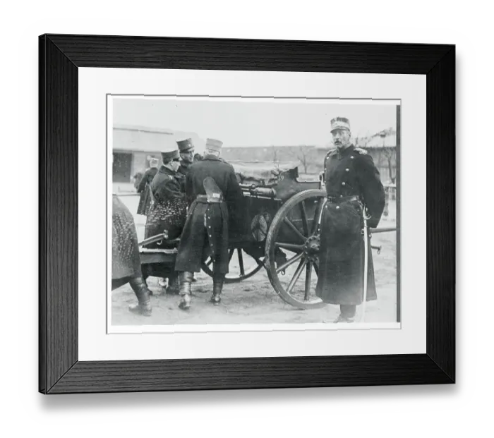 Framed Print : King Christian on Troop Review Framed Print : King Christian on Troop Review