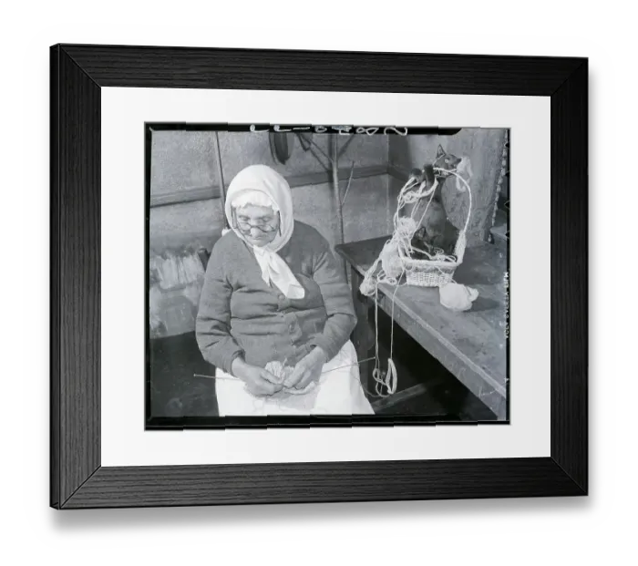 Framed Print : Woman Knitting With Cat Framed Print : Woman Knitting With Cat