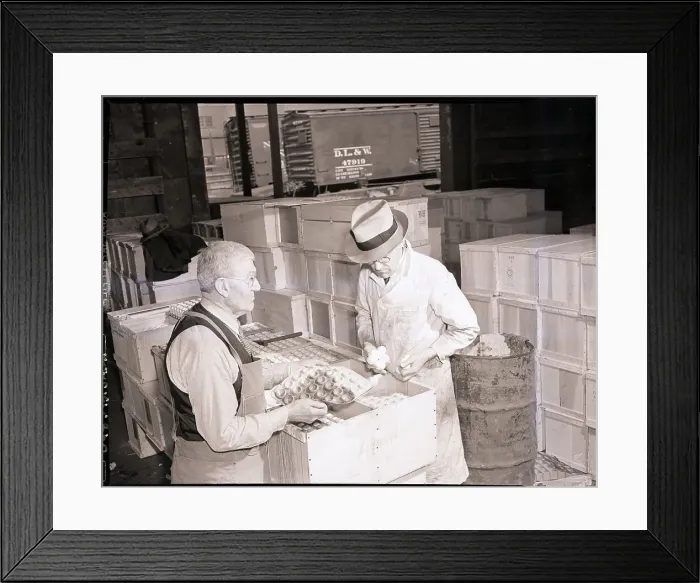 Framed Print : Trader Looks Over Shipment of Eggs Framed Print : Trader Looks Over Shipment of Eggs