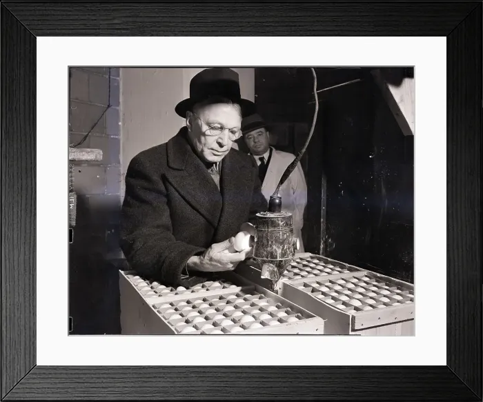 Framed Print : Trader Looking Over Egg Shipment