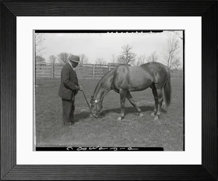 Framed Print : Man O War Eating Grass Framed Print : Man O War Eating Grass