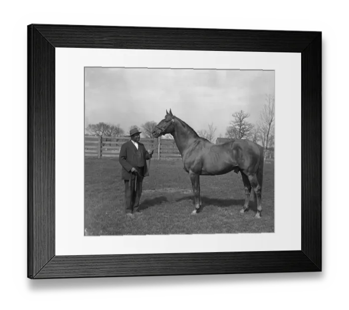 Framed Print : Man O War and Horse Attendant Framed Print : Man O War and Horse Attendant