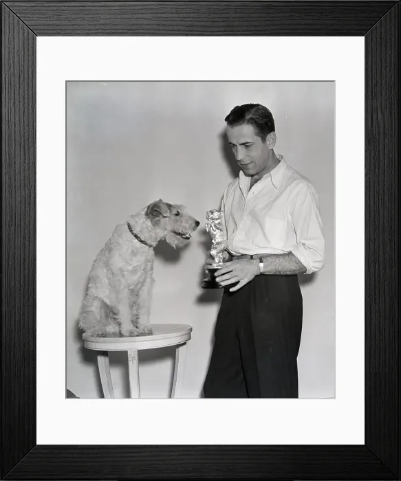 Framed Print : Humphrey Bogart Presents Award to Dog Framed Print : Humphrey Bogart Presents Award to Dog