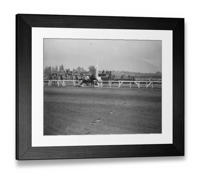 Framed Print : Stagehand and Seabiscuit in Santa Anita Handicap Framed Print : Stagehand and Seabiscuit in Santa Anita Handicap
