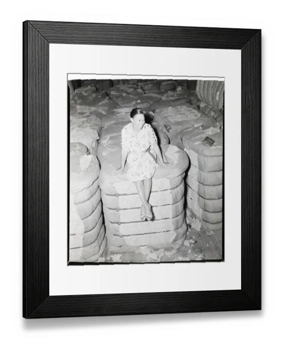 Framed Print : Woman Sitting on a Cotton Bale Framed Print : Woman Sitting on a Cotton Bale