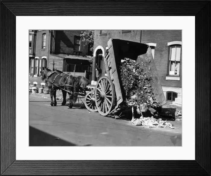 Framed Print : Horsedrawn Trash Cart Dumping In Street Framed Print : Horsedrawn Trash Cart Dumping In Street
