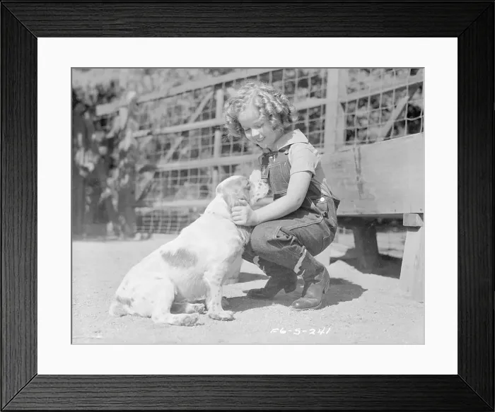 Framed Print : Shirley Temple Petting a Dog Framed Print : Shirley Temple Petting a Dog