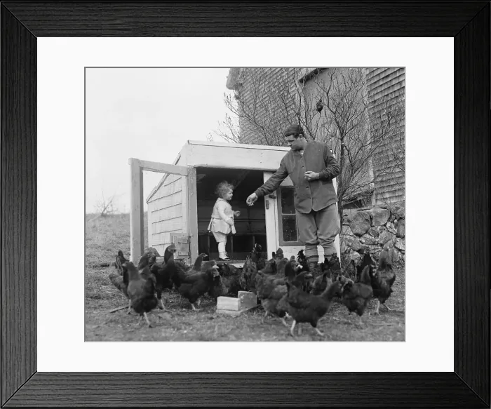 Framed Print : Babe and Dorothy Ruth Feeding Chickens Framed Print : Babe and Dorothy Ruth Feeding Chickens