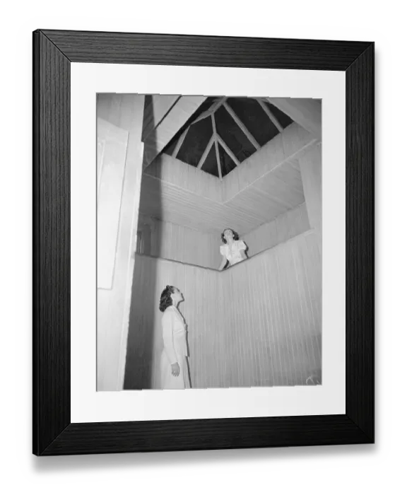 Framed Print : Women Observing Lightless Skylight Framed Print : Women Observing Lightless Skylight