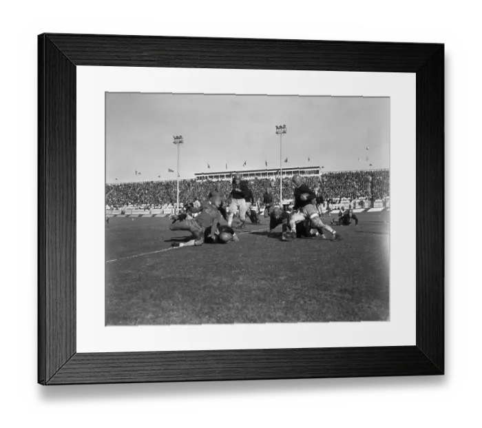 Framed Print : Byron Whizzer White Framed Print : Byron Whizzer White