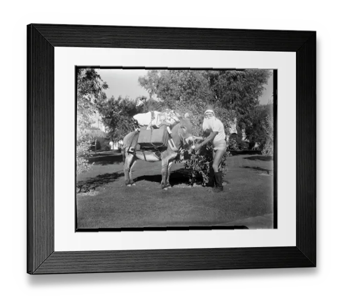 Framed Print : Santa Claus Dressed for Desert Resort Framed Print : Santa Claus Dressed for Desert Resort