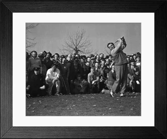 Framed Print : Montague Makes No Mystery About His Feelings Framed Print : Montague Makes No Mystery About His Feelings