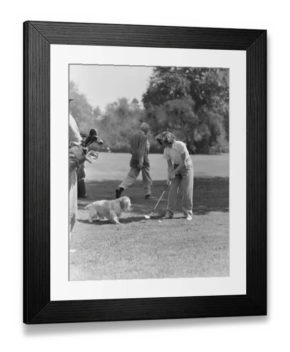 Framed Print : Katharine Hepburn Golfs, Dog In Front Framed Print : Katharine Hepburn Golfs, Dog In Front
