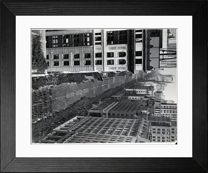 Framed Print : View of Paraders from Building Top Framed Print : View of Paraders from Building Top