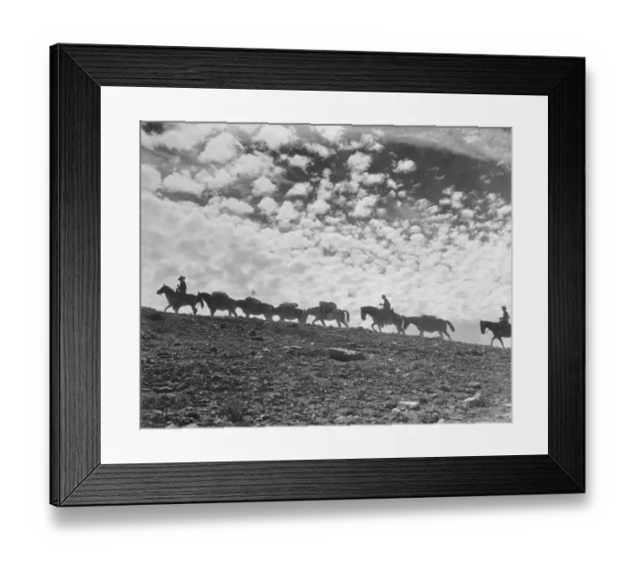 Framed Print : Cowboy Mule Train Silhouetted Against Sky Framed Print : Cowboy Mule Train Silhouetted Against Sky