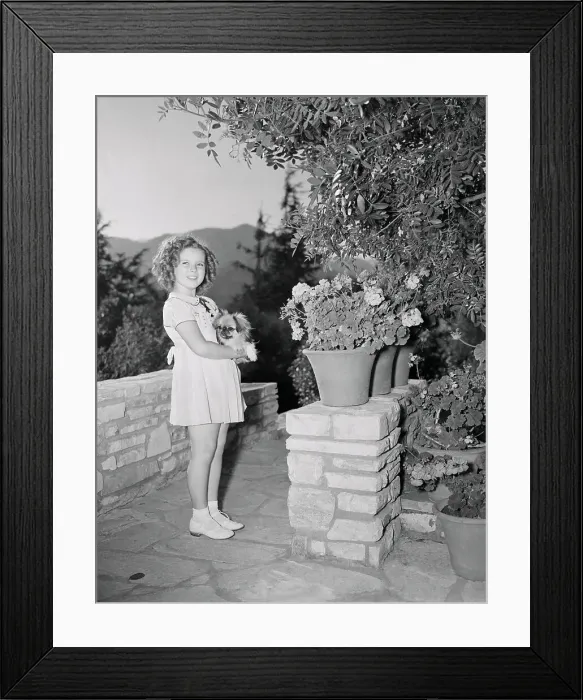 Framed Print : Shirley Temple Holding a Dog Framed Print : Shirley Temple Holding a Dog