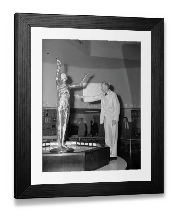 Framed Print : Dr. Emerson Pointing to Transparent Man Framed Print : Dr. Emerson Pointing to Transparent Man