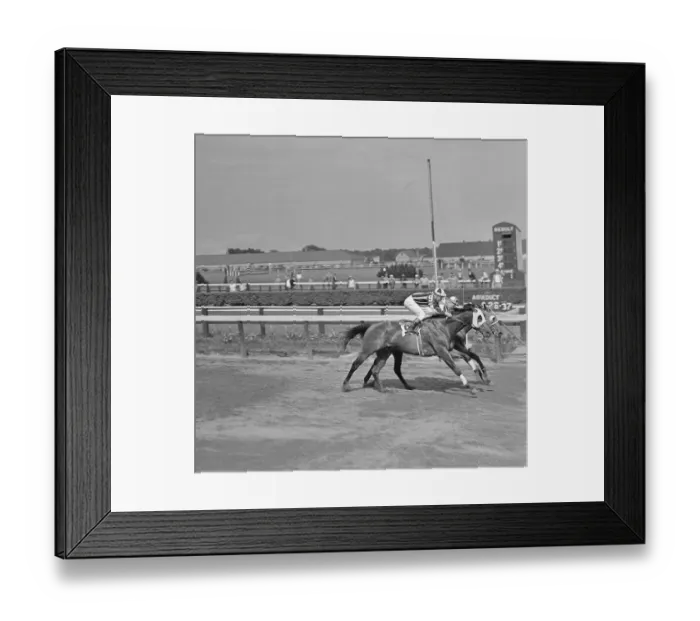 Framed Print : Seabiscuit Wins By a Nose Framed Print : Seabiscuit Wins By a Nose